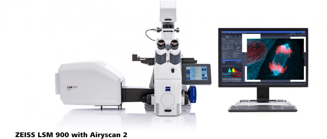 雷射共軛焦顯微鏡LSM900 with Airyscan2 